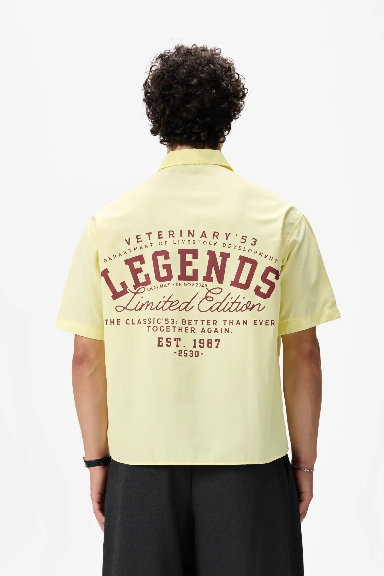 LEGENDS SHİRT